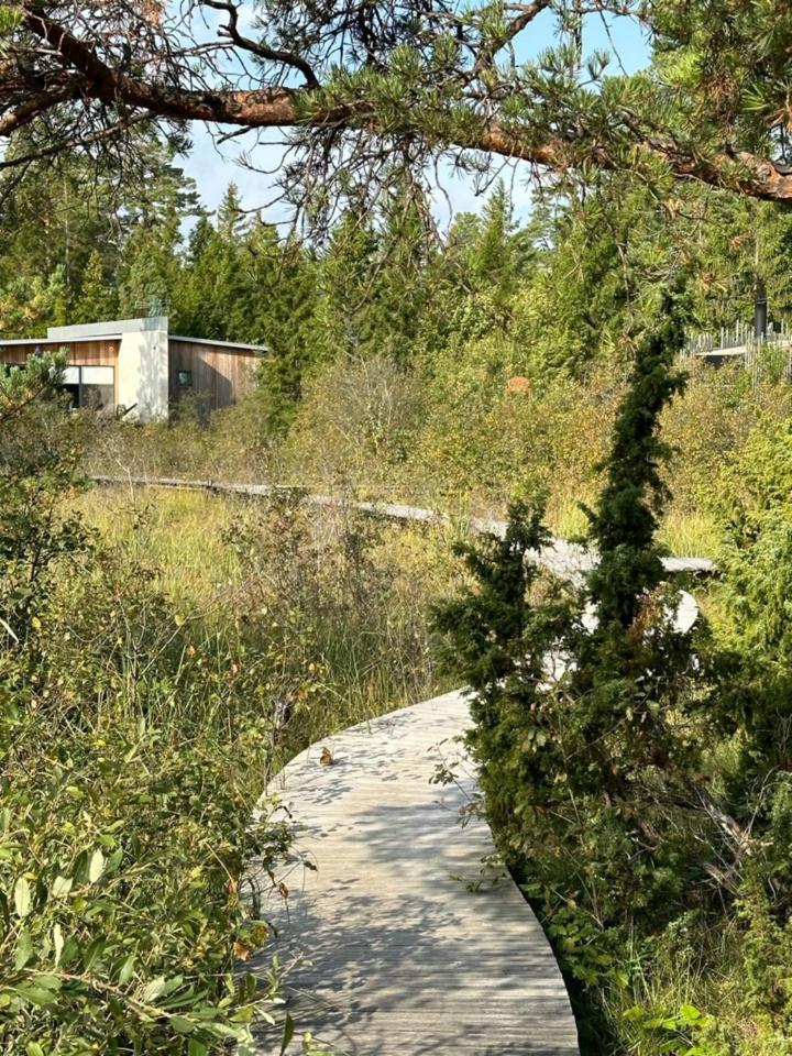 Maven Kustnaera Stugor Kappelshamn Esterno foto