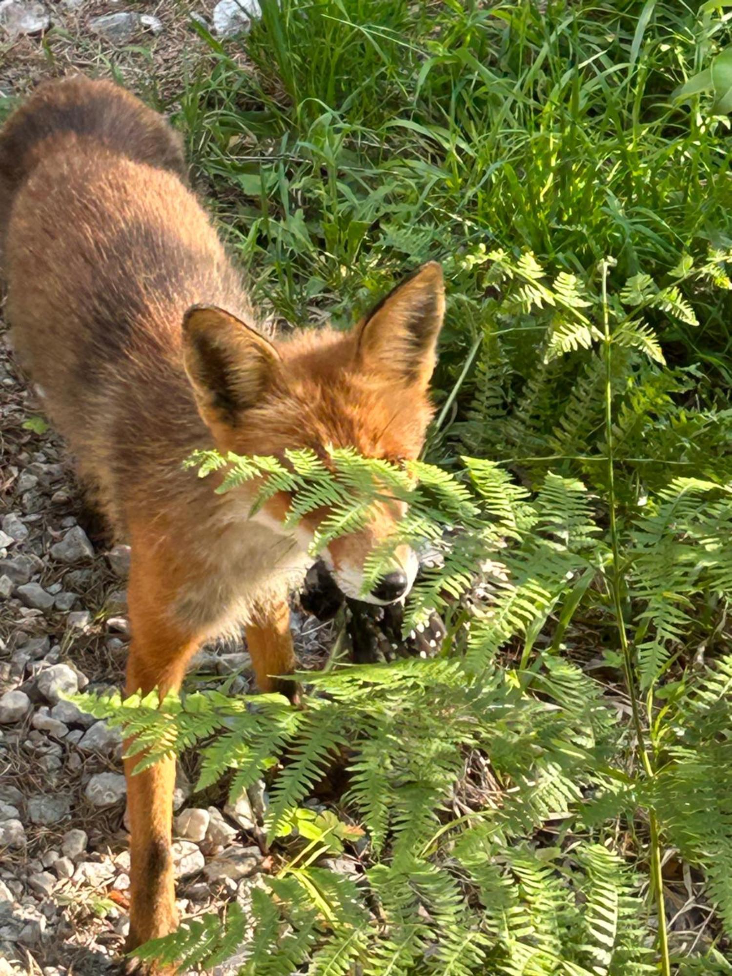 Maven Kustnaera Stugor Kappelshamn Esterno foto